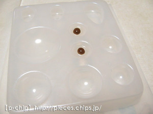 樹脂に入れて固める