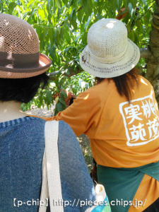 okayama_0731_0801_04